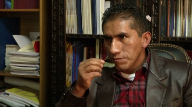 Bolívie vyzývá ke žvýkání koky. Je účinná proti koronaviru, tvrdí vláda